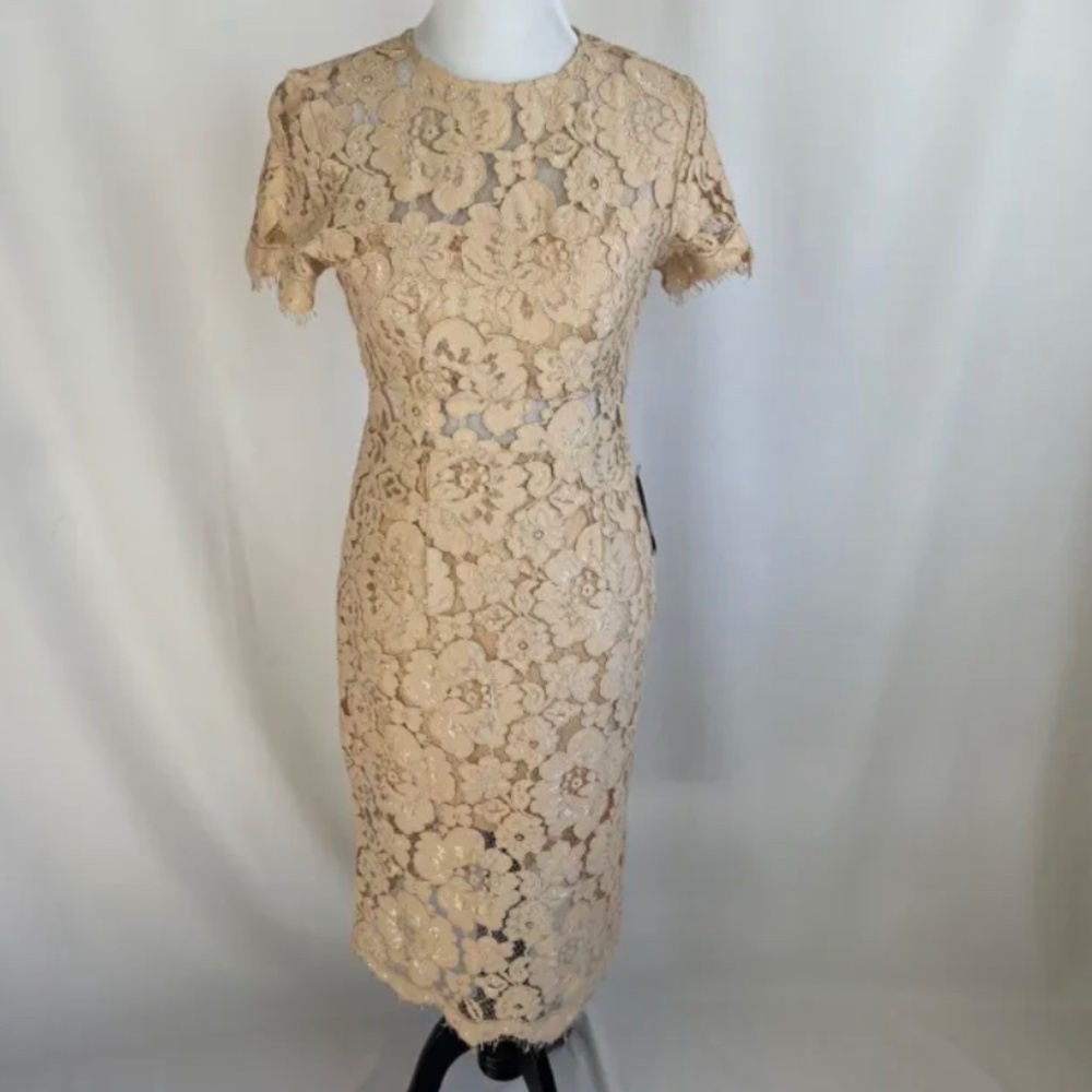NSR Beige Illusion Waist Lace Sheath Dress Woman’s Size S Cocktail Wedding NWT’S